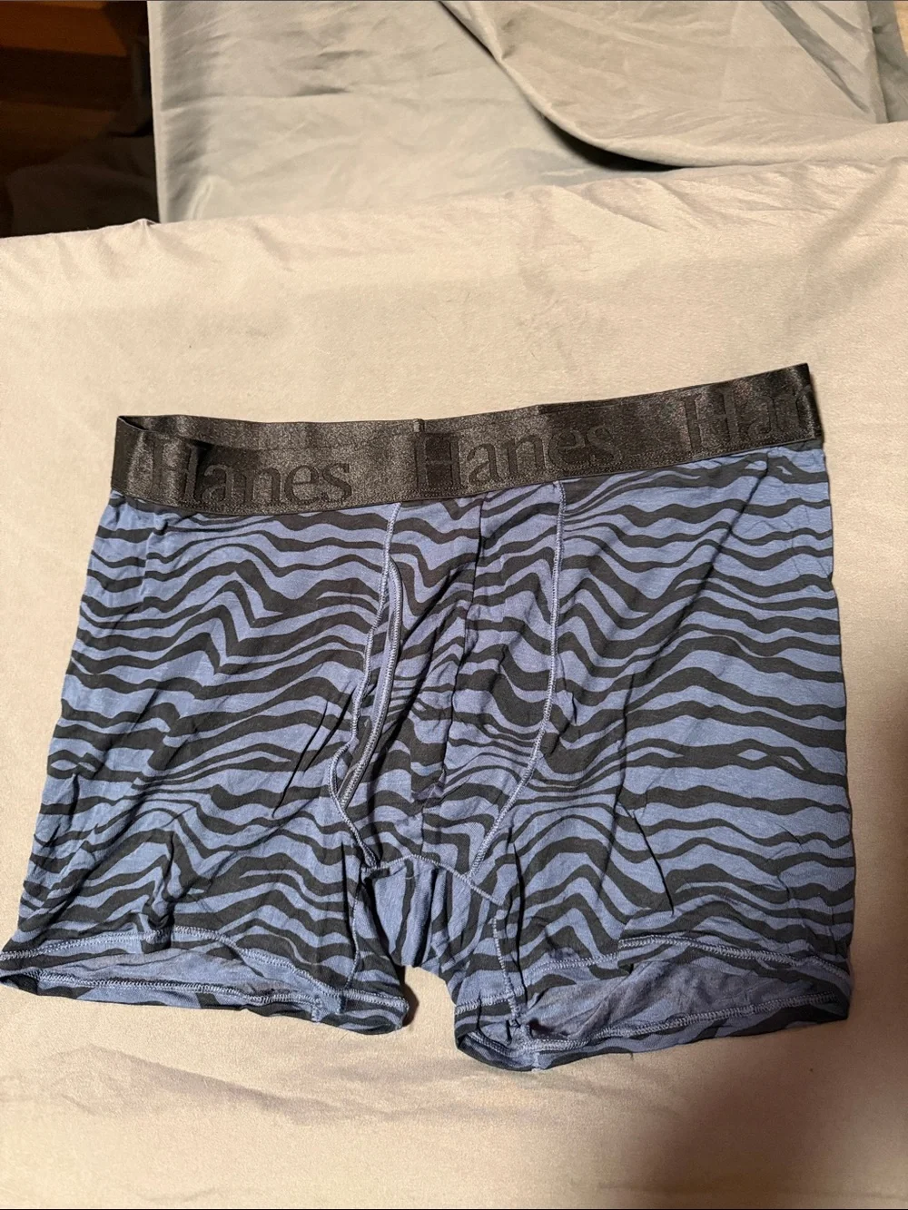Hanes Blue and Black Zebra-Pattern Boxer Briefs